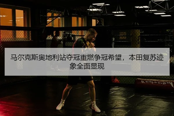 ma-er-ke-si-ao-di-li-zhan-duo-guan-zhong-ran-zheng-guan-xi-wang-ben-tian-fu-su-ji-xiang-quan-mian-xian-xian-2-311.jpg